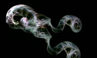 Protozoan #6