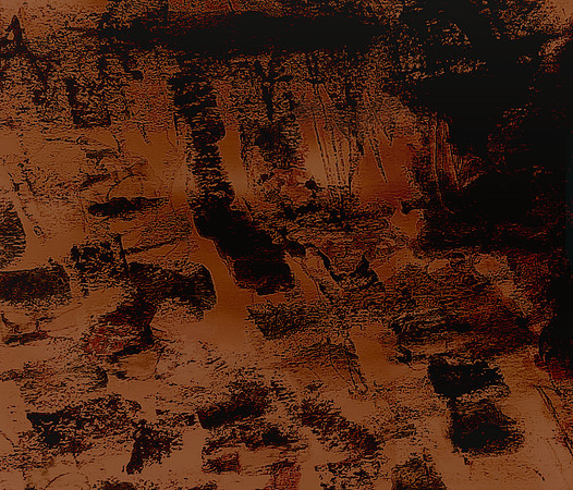 Indigenous II - 2024 © PJH Taylor