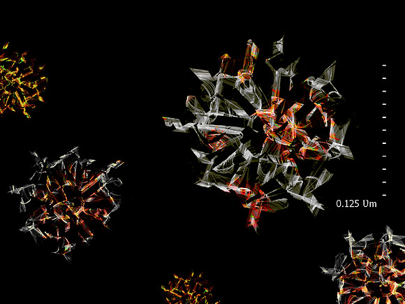 SARS-CoV-2